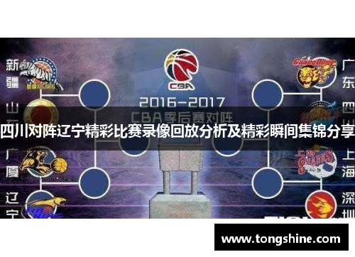 四川对阵辽宁精彩比赛录像回放分析及精彩瞬间集锦分享